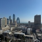 Kirayə (aylıq) 3 otaqlı Yeni Tikili, 28 May metrosu, Nəsimi rayonu 15