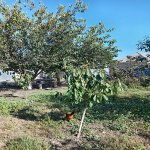 Продажа 2 комнатная Дома/Виллы Губа 7