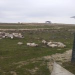 Satılır Torpaq, Masazır, Abşeron rayonu 2