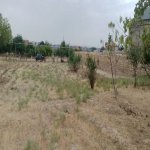 Satılır Torpaq Sumqayıt 3