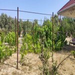 Kirayə (aylıq) 3 otaqlı Bağ evi, Nardaran qəs., Sabunçu rayonu 13