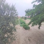 Satılır Torpaq, Maştağa qəs., Sabunçu rayonu 2