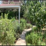 Kirayə (günlük) 4 otaqlı Bağ evi, Novxanı, Abşeron rayonu 1