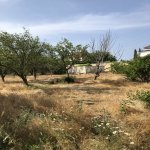 Satılır Torpaq, Saray, Abşeron rayonu 15