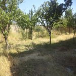 Satılır 8 otaqlı Həyət evi/villa, Ceyranbatan qəs., Abşeron rayonu 6