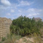 Satılır 2 otaqlı Bağ evi, Maştağa qəs., Sabunçu rayonu 11