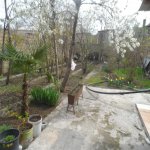 Satılır 4 otaqlı Həyət evi/villa Gəncə 9