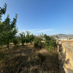 Satılır Torpaq Şamaxı 6