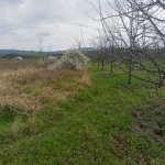 Satılır Torpaq Quba 9