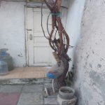 Kirayə (aylıq) 3 otaqlı Həyət evi/villa, Əhmədli metrosu, Əhmədli, Xətai rayonu 9