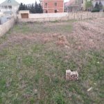 Satılır Torpaq, Koroğlu metrosu, Nardaran qəs., Sabunçu rayonu 1