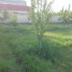 Satılır Torpaq Quba 30