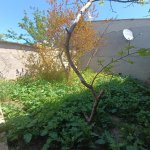 Satılır 3 otaqlı Həyət evi/villa, Binəqədi qəs., Binəqədi rayonu 5