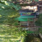 Kirayə (günlük) 2 otaqlı Həyət evi/villa Oğuz 5