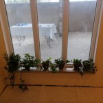 Kirayə (aylıq) 3 otaqlı Bağ evi, Binəqədi rayonu 10