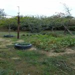 Satılır 8 otaqlı Həyət evi/villa Xırdalan 12