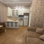 Аренда 2 комнатная Новостройка, м. 28 Мая метро, Шярг Базары, Наримановский р-н район 4