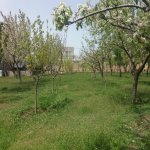 Satılır 4 otaqlı Həyət evi/villa, Saray, Abşeron rayonu 25