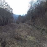 Satılır Torpaq Qusar 9