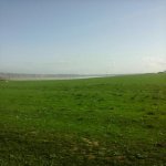 Satılır Torpaq, Masazır, Abşeron rayonu 1
