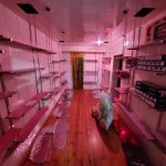 Kirayə (aylıq) Obyekt, Gənclik metrosu, Nərimanov rayonu 3