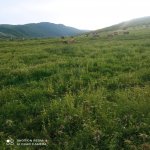 Satılır Torpaq Ağsu 1