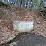 Kirayə (günlük) 4 otaqlı Həyət evi/villa Quba 3