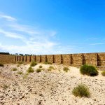 Satılır Torpaq, Masazır, Abşeron rayonu 6