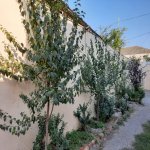 Kirayə (günlük) 10 otaqlı Həyət evi/villa Gəncə 3