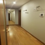 Kirayə (aylıq) 2 otaqlı Yeni Tikili, 28 May metrosu, Nəsimi rayonu 7