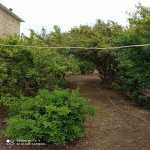 Продажа Участок, Мехдиабад, Абшерон район 2