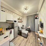 Продажа 1 комнат Новостройка, м. 20 Января метро, пос. Ясамал, Ясамал район 4