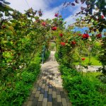 Satılır 5 otaqlı Bağ evi, Novxanı, Abşeron rayonu 8