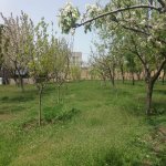 Satılır 4 otaqlı Həyət evi/villa, Saray, Abşeron rayonu 25