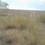 Satılır 6 otaqlı Bağ evi, Nardaran qəs., Sabunçu rayonu 4