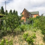 Satılır 3 otaqlı Bağ evi, Novxanı, Abşeron rayonu 22