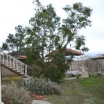 Satılır 5 otaqlı Bağ evi, Zirə, Xəzər rayonu 3