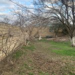 Satılır 4 otaqlı Bağ evi, Goradil, Abşeron rayonu 4