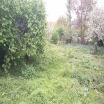 Satılır Torpaq Qəbələ 2