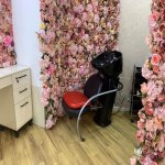 Kirayə (aylıq) Obyekt, Nəsimi rayonu 5