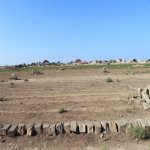 Satılır Torpaq, Savalan qəs., Sabunçu rayonu 2