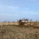 Satılır Torpaq, Bilgəh qəs., Sabunçu rayonu 4