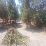 Satılır 6 otaqlı Bağ evi, Mərdəkan, Xəzər rayonu 43
