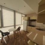 Kirayə (aylıq) 1 otaqlı Yeni Tikili, 28 May metrosu, Nəsimi rayonu 7