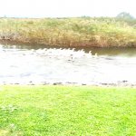 Продажа Объект Хачмаз 9