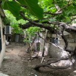 Satılır 3 otaqlı Həyət evi/villa, Azadlıq metrosu, Binəqədi qəs., Binəqədi rayonu 9