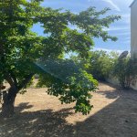 Kirayə (aylıq) 5 otaqlı Bağ evi, Şüvəlan, Xəzər rayonu 3
