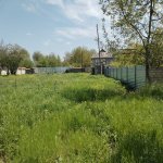 Satılır Torpaq Qəbələ 4