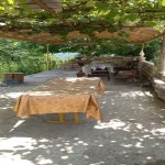 Kirayə (günlük) 4 otaqlı Bağ evi Lerik 4