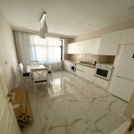 Kirayə (aylıq) 2 otaqlı Yeni Tikili, Gənclik metrosu, Heydər Əliyev Mərkəzi, Nərimanov rayonu 4